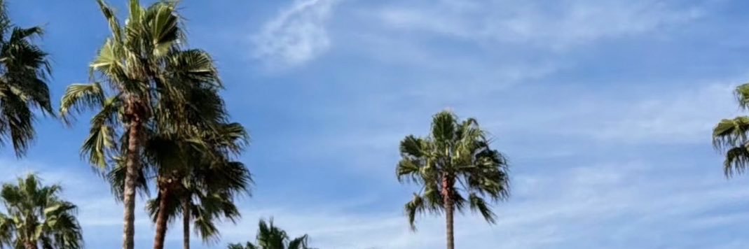 nav's banner