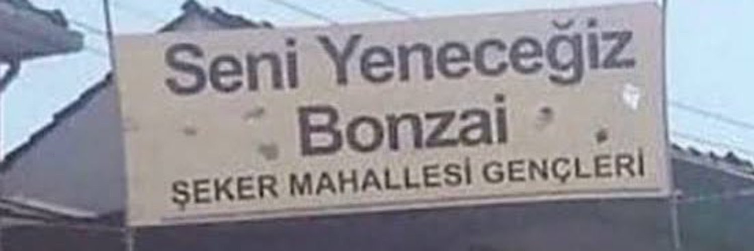 sofi melek's banner
