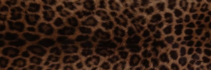 nic's banner