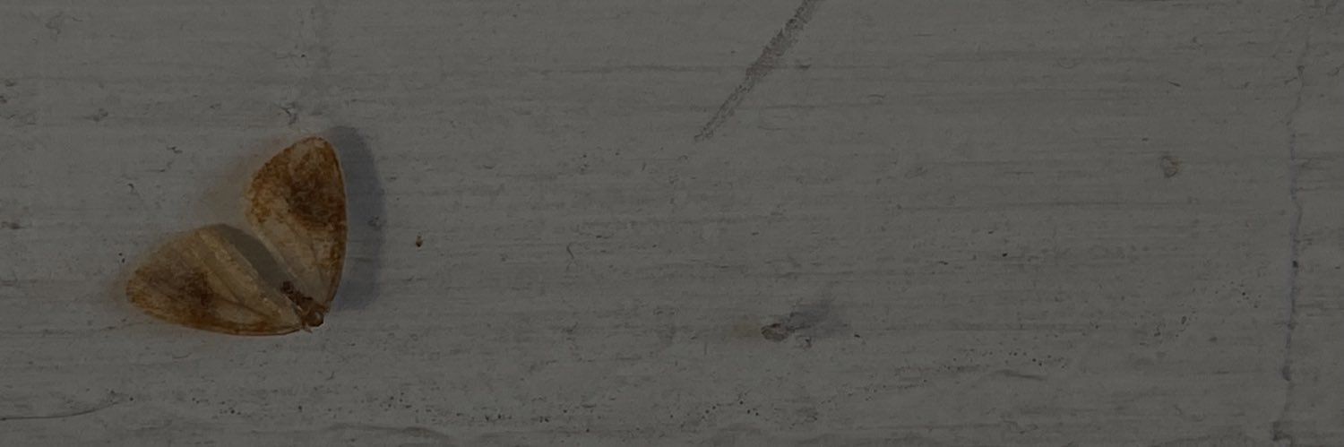 ju.8iq's banner