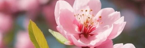 新闻一角's banner