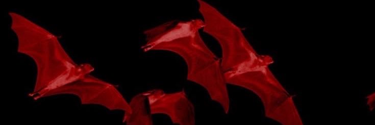 𝕯𝖊𝖊𝖕 𝕹𝖎𝖌𝖍𝖙𝖒𝖆𝖗𝖊's banner