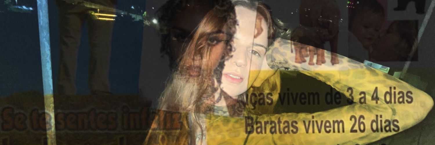 anne's banner