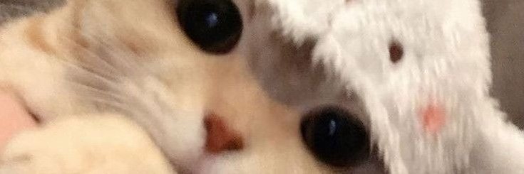 Hana 😸's banner