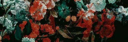 Lucia Bloom's banner