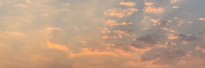 Augustxx_x (ชน์) 🦮🪽🌵's banner