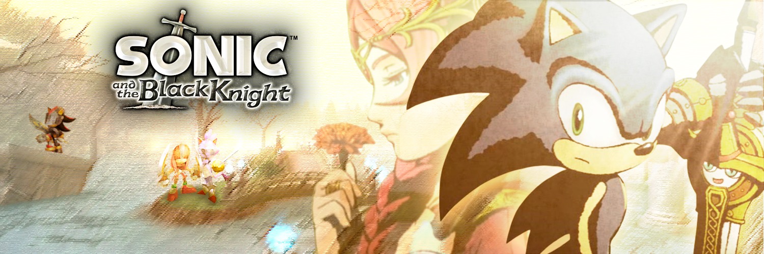 Sonic and the Black Knight's banner