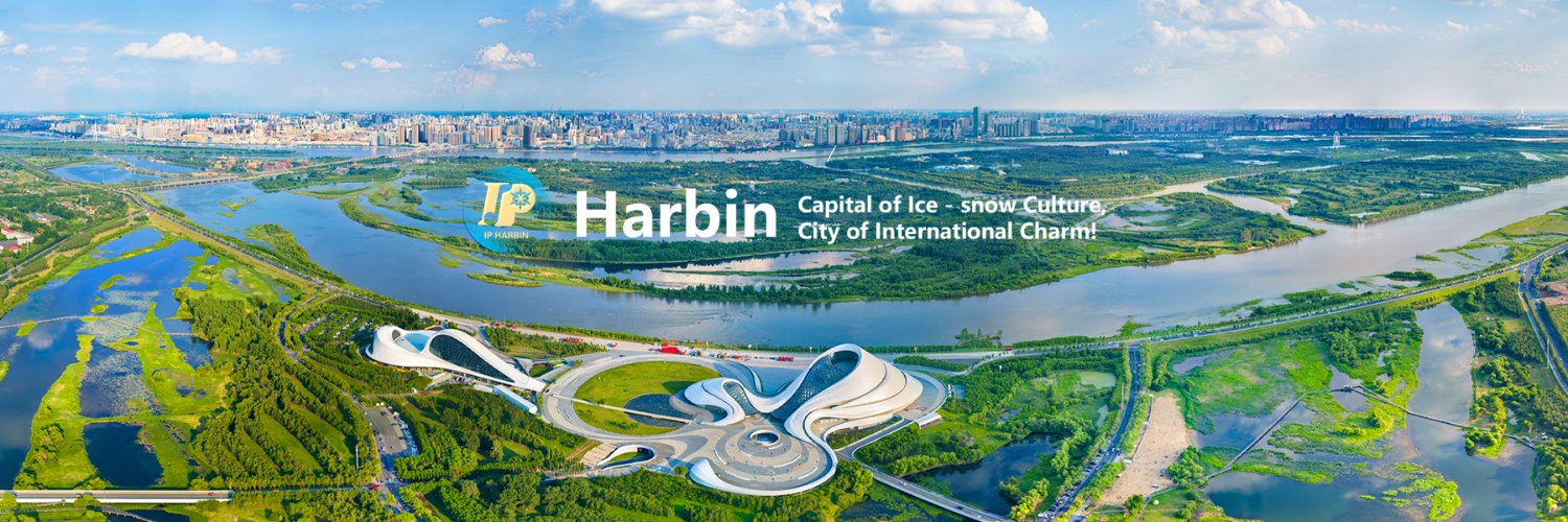 Dreamlike Harbin's banner