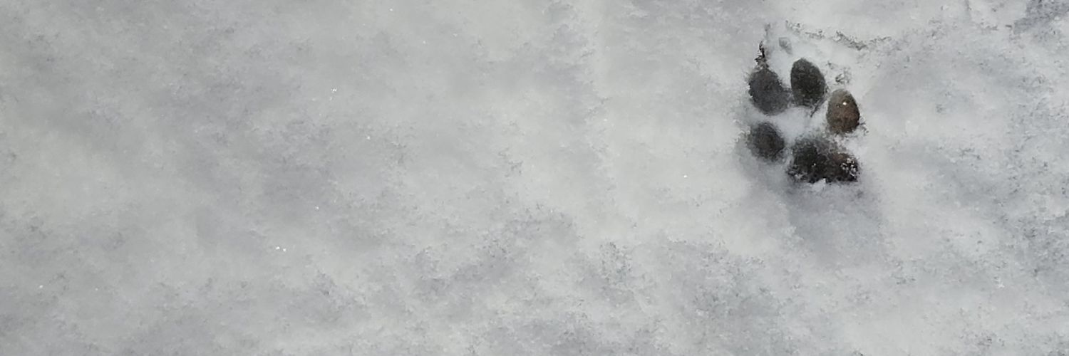 내동생 누룽지's banner