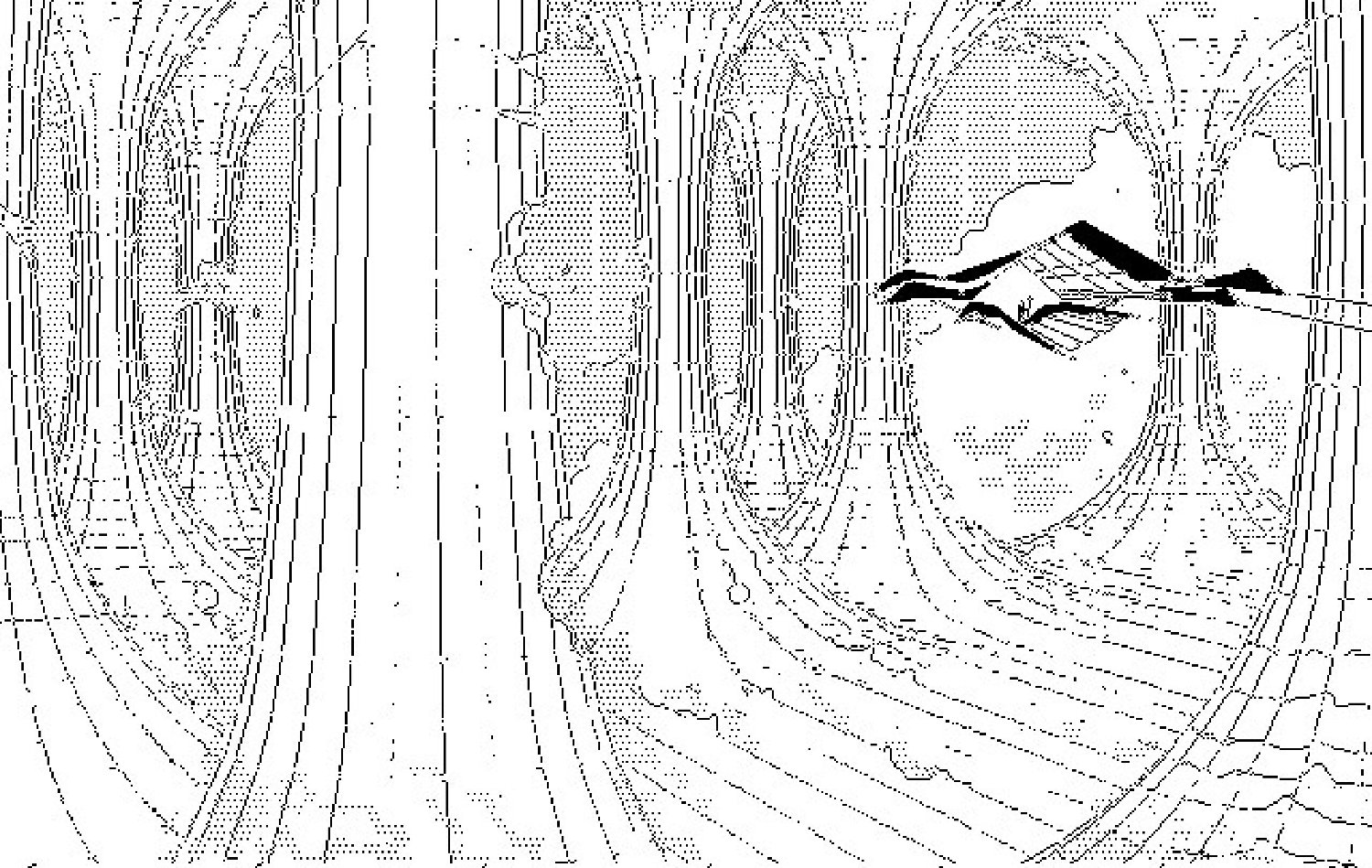 ksa 🏴‍☠️'s banner