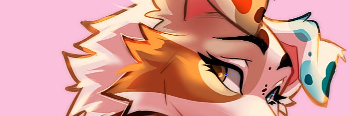 Juniper 🎏🩵's banner