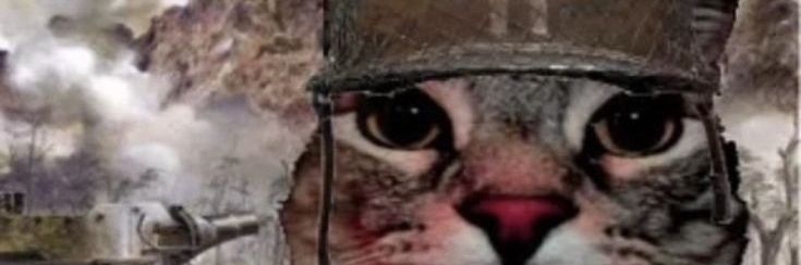 Adolf Pickler's banner