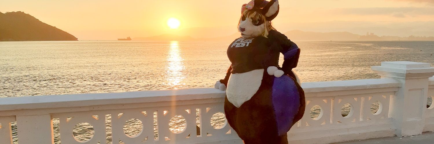 🇧🇷 Sally 🔜 Brasil FurFest 2026's banner