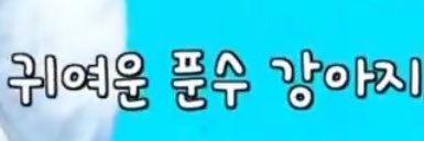 🌱's banner