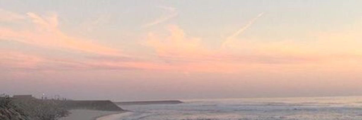 phee ♡'s banner