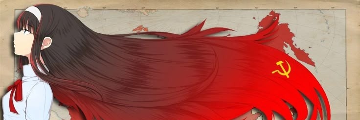 dfyzator15☭'s banner