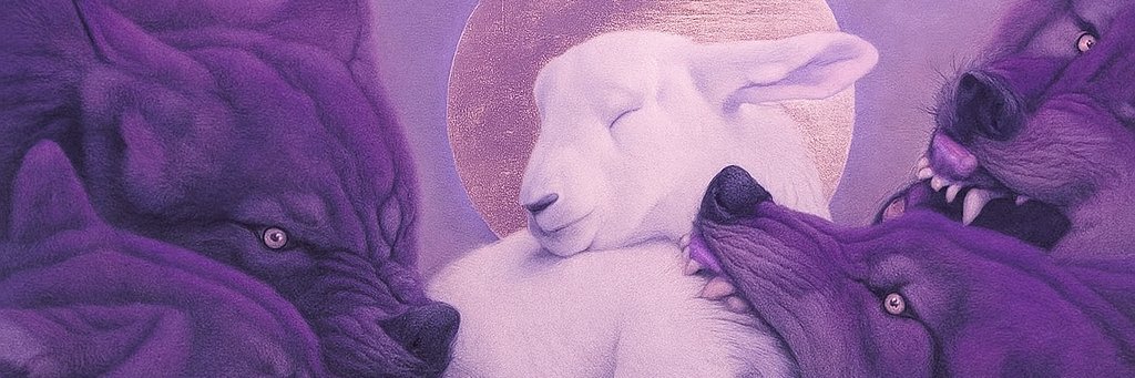 Klaudia Krynicka's banner