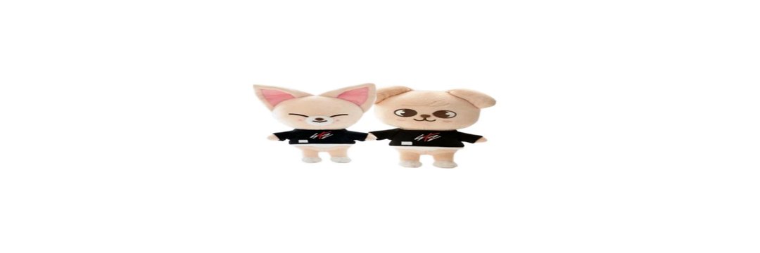 things that could be seungin's banner