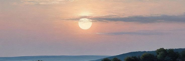 Ann's banner