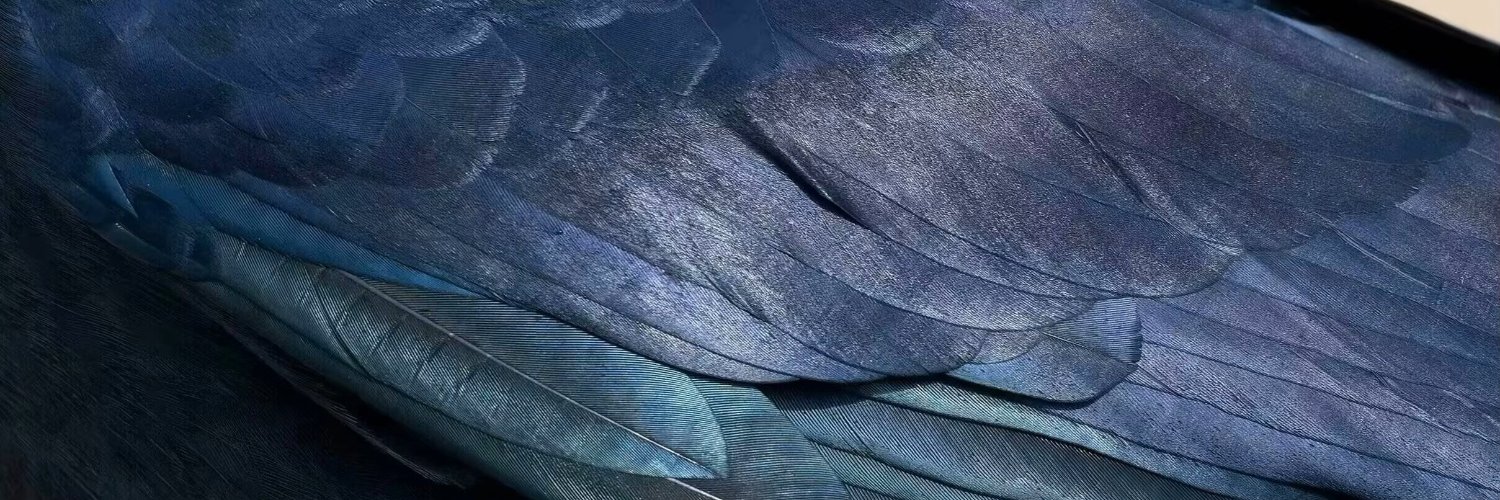 🕊️🦢🦚🦜🦅🦉🦆🐓🪶🪶🪶's banner