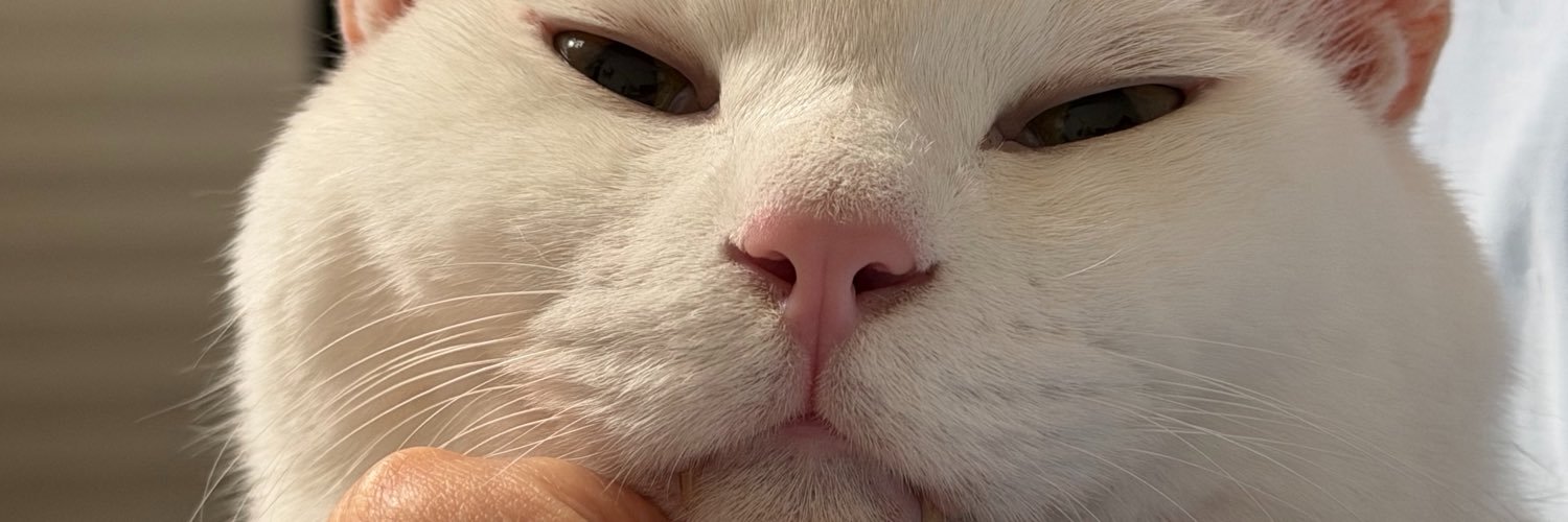 memememe's banner