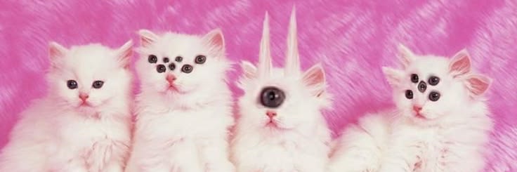 ♡︎salad's banner