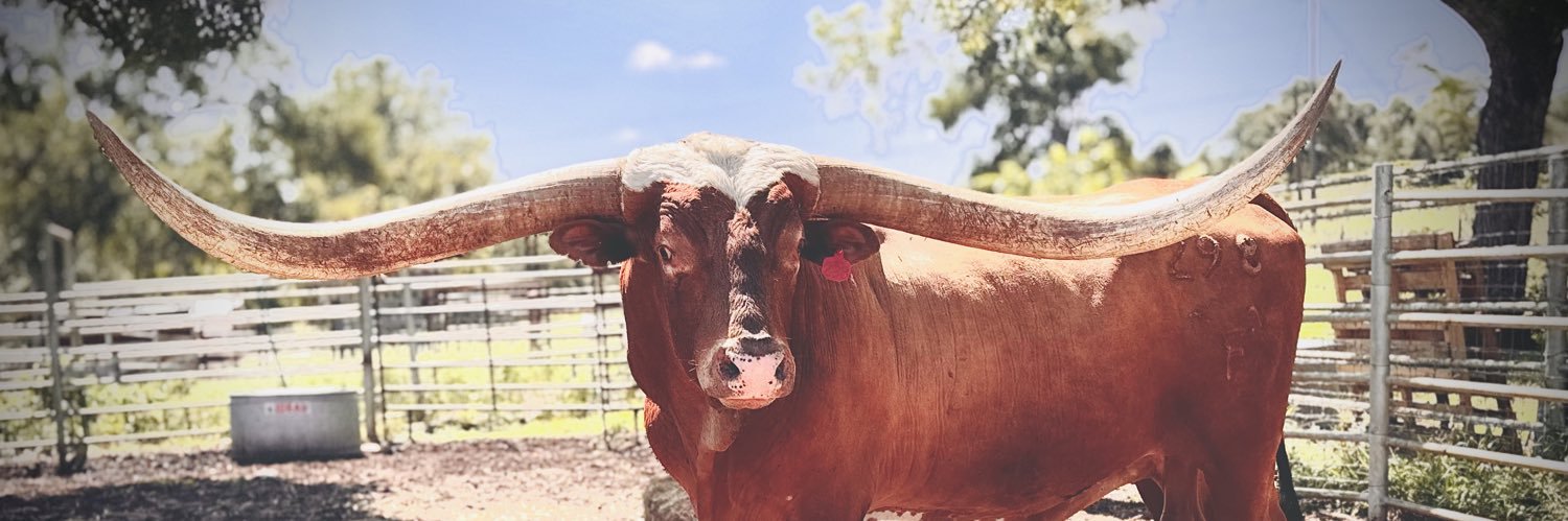 Rancher Dustin 𓃒's banner