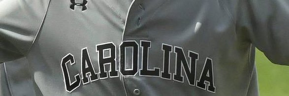The Sarge Daily's banner