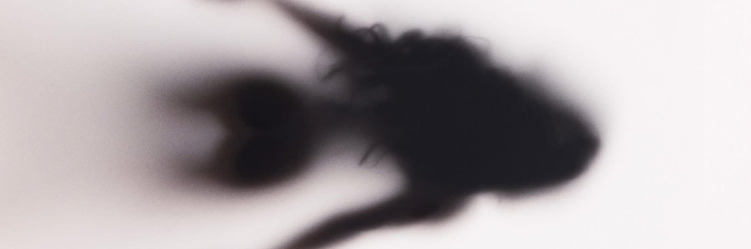 ໊'s banner