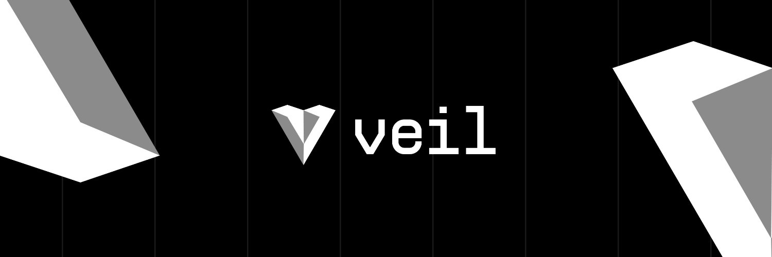 Veil.Cash's banner