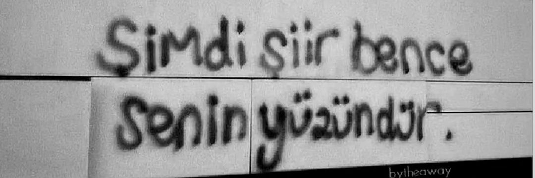 Gülşah🌻's banner