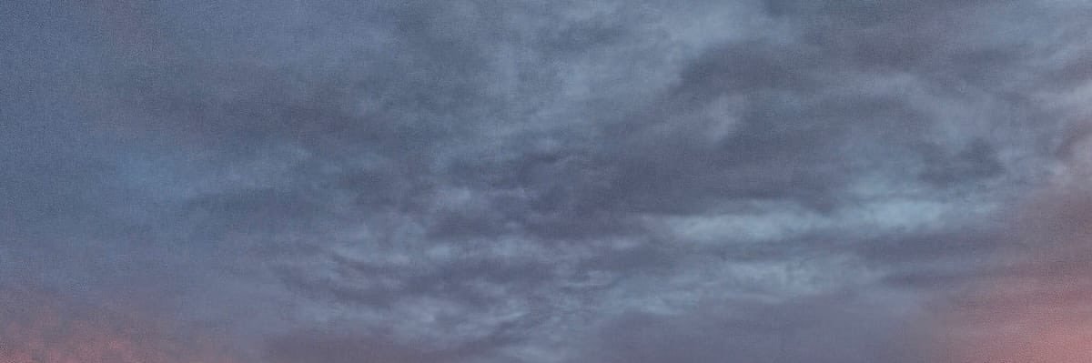 flowina's banner
