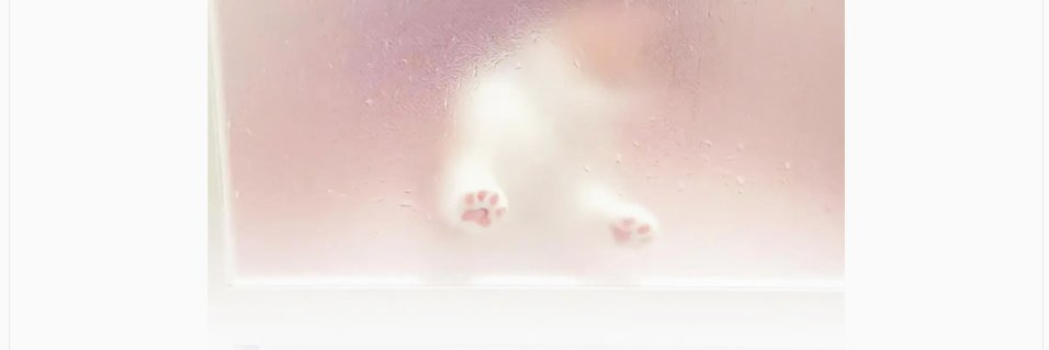 梨涡's banner