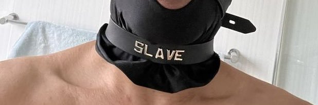 Exhibitionist's banner