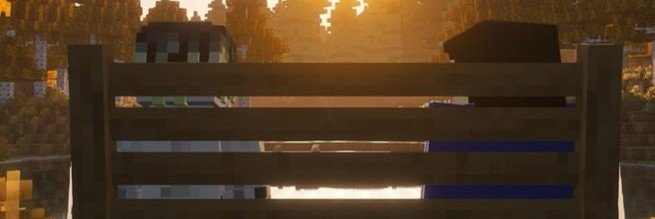 🪷's banner