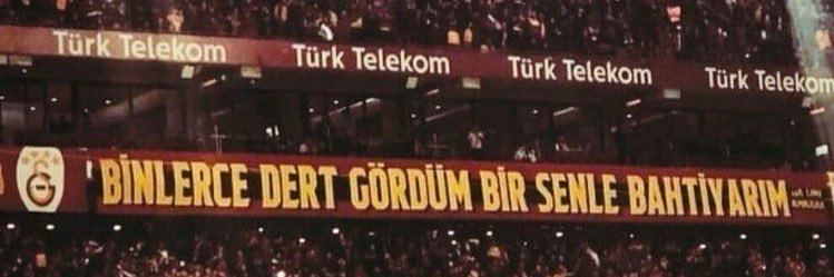 alegria's banner