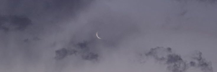 りんたろう's banner