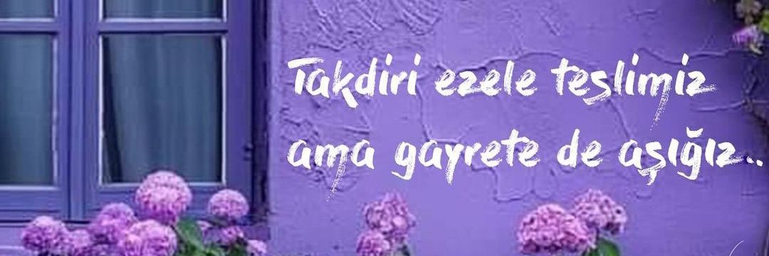 🧚‍♀️'s banner