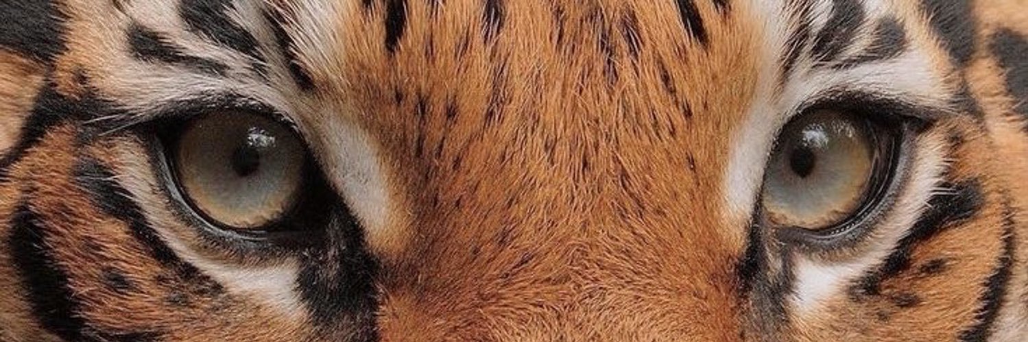 gabrielle's banner