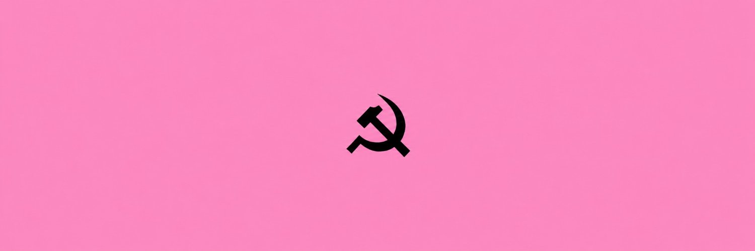 robin ☭'s banner