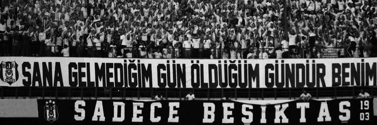 alessandro's banner