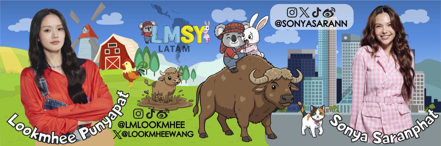 LMSY LATAM's banner