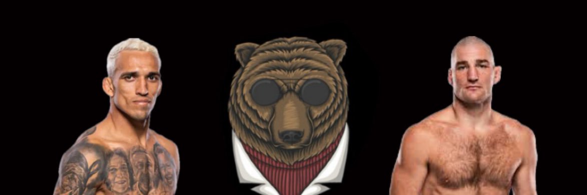 Blind Bear 🐻🕶️'s banner