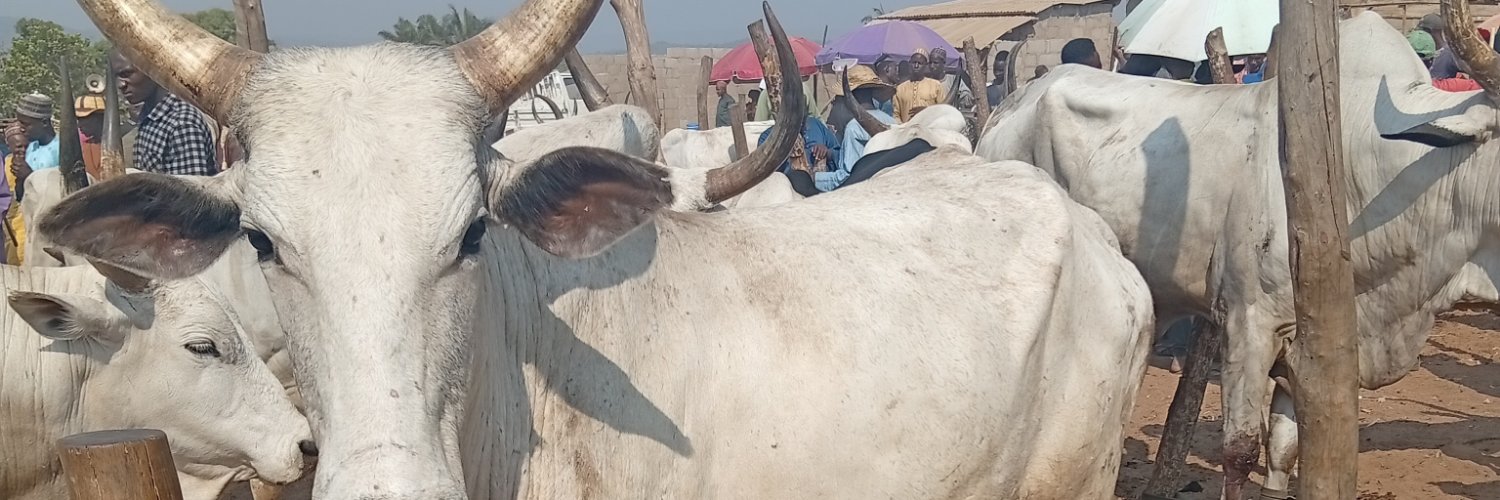 Kabir Livestock Connect's banner