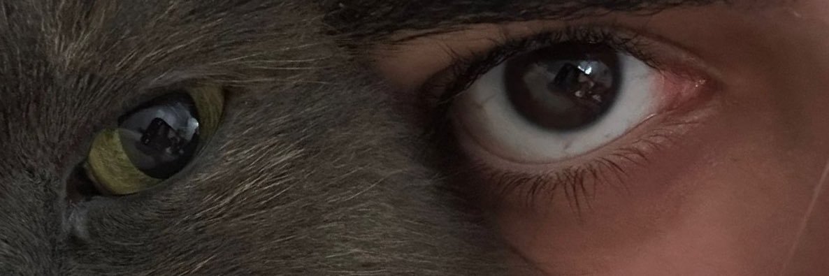 Açelya🇹🇷's banner