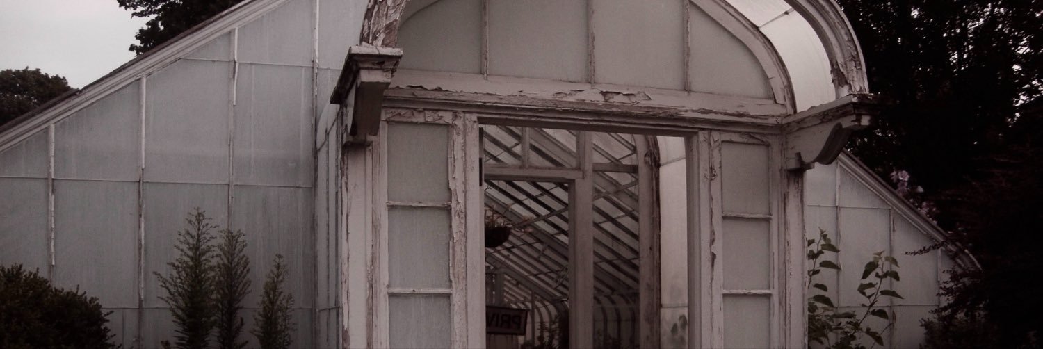 𝐉𝐚𝐝𝐞 ♱ ˚⋆ ⁺ .'s banner