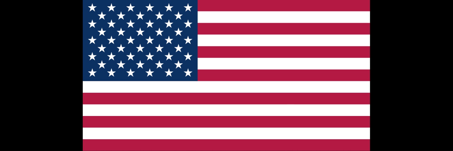 Department of Government Efficiency's banner