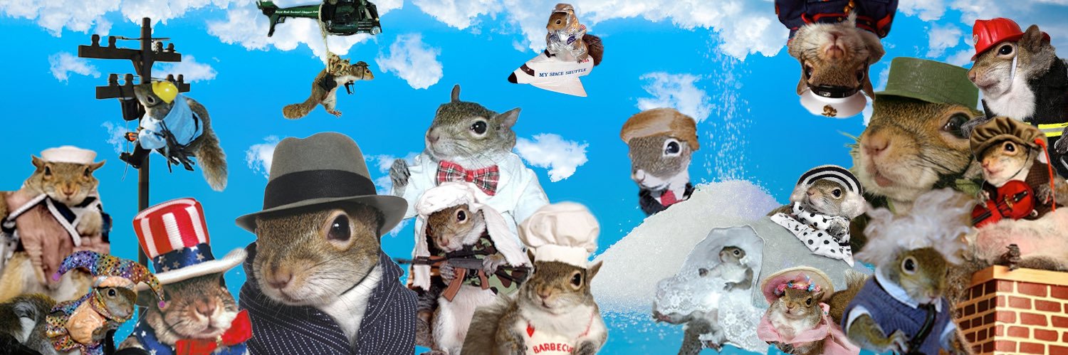 Sugar - Sugar Bush the Squirrel 🐿️| Fan Page's banner