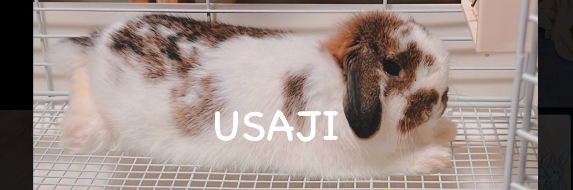 うさぎのうさじ's banner