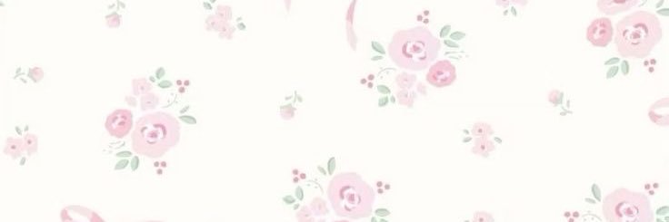 Aly's banner